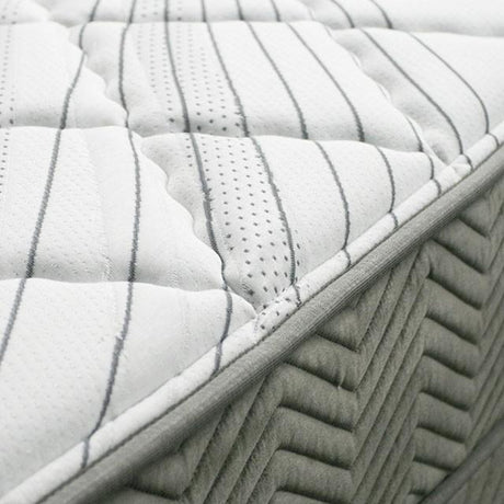 EDREA White/Gray 10" Tight Top Pocket Coil, Queen - Furniture World