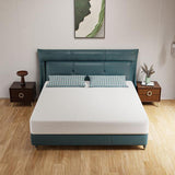 Forsythia 10" E.King Green Tea Gel Memory Foam