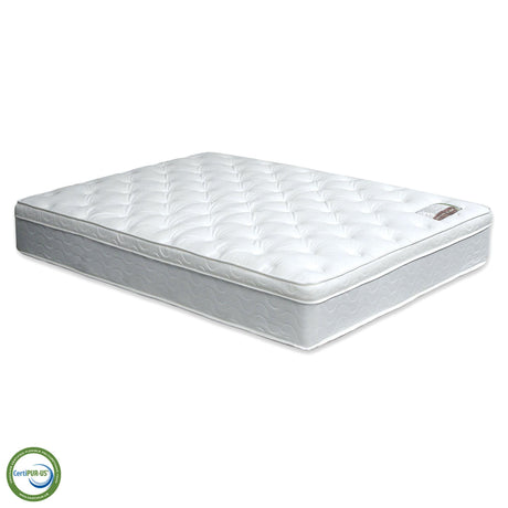 Bird Of Paradise Euro Pillow Top Mattress - Furniture World