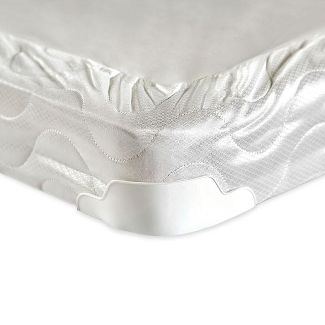 Bird Of Paradise 4" Foundation - Furniture World