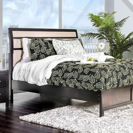 Berenice Bed Purple Brown - Furniture World