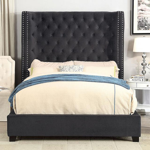 ROSABELLE Queen Bed, Black image