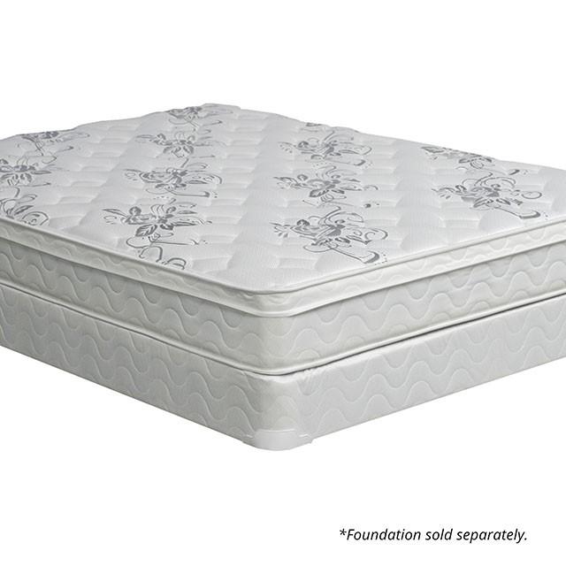 JALEN White 9" Euro Top Mattress, Queen - Furniture World
