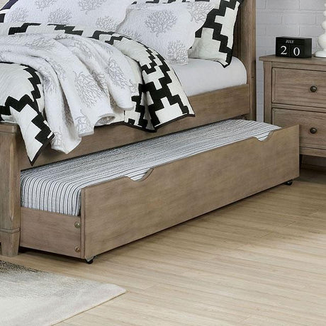 VEVEY Trundle/Drawer - Furniture World