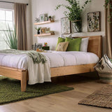 Willamette Bed