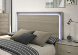 Rainier Queen Bedroom Set Gray