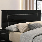 Magdeburg Bed