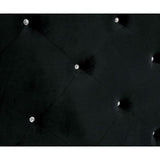Azha Bed
