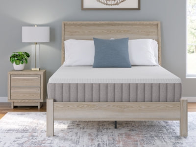 Terra Sleep Firm Mattress - Furniture World