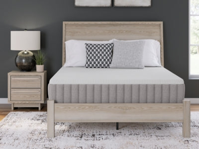 Terra Sleep Medium Mattress - Furniture World