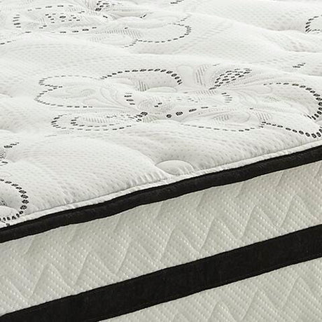 Chime 10 Inch Hybrid Mattress in a Box - Furniture World