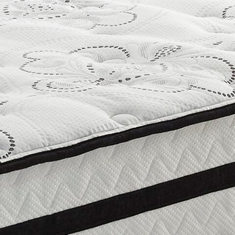 Chime 10 Inch Hybrid Mattress in a Box - Furniture World