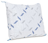 Nectar Classic / Pillow - Furniture World