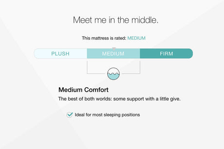 Chime 10 Inch Hybrid Mattress in a Box - Furniture World