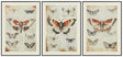 Jossletts Wall Art (Set of 3) - Furniture World