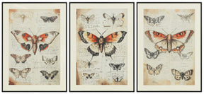 Jossletts Wall Art (Set of 3) - Furniture World