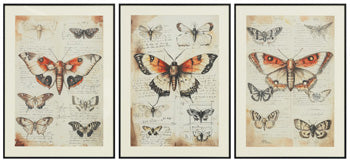 Jossletts Wall Art (Set of 3) - Furniture World