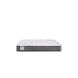 Sealy Paisley Foam Mattress