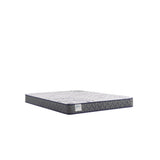 Sealy Paisley Foam Mattress