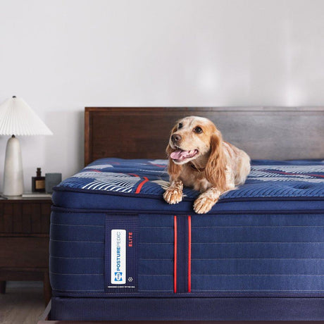 Albany II Spring Mattress - Furniture World