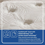 Sealy Spring Bloom Innerspring Mattress
