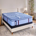 Sonterra Spring Mattress - Furniture World