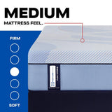 Sealy Paterson II Hybrid Mattress