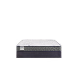 Sealy Paisley Foam Mattress