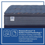 Sealy Warner Spring Mattress