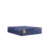 Sealy Remmington Hybrid Mattress