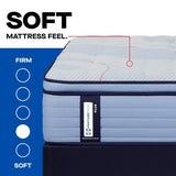 Sealy Paterson II Spring Mattress