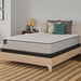 Spring Bloom Innerspring Mattress - Furniture World