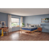 Sealy Bridgerton Foam Mattress