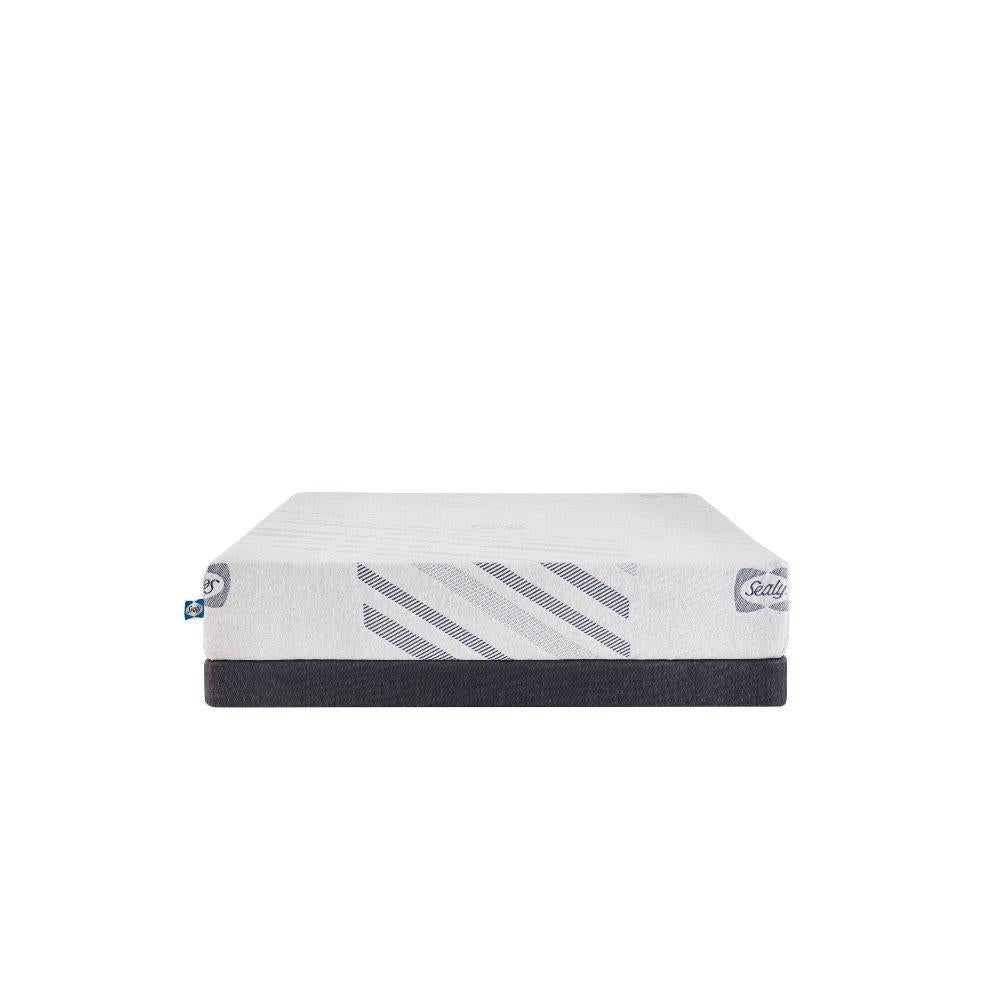 Sealy Lane Foam Mattress