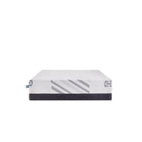 Sealy Second & Park Foam Mattress