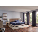 Sealy Annapolis Innerspring Mattress