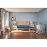 Sealy Wild Canyon Foam Mattress