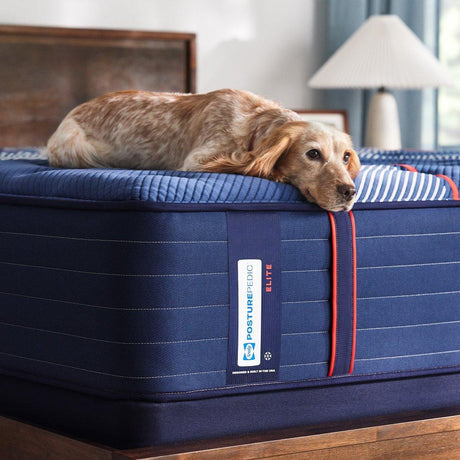 Albany II Spring Mattress - Furniture World