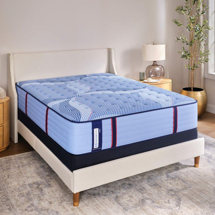 Sonterra Spring Mattress - Furniture World