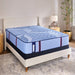 Sonterra Spring Mattress - Furniture World