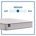 Spring Bloom Innerspring Mattress - Furniture World