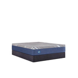 Sealy Benedict Foam Mattress