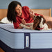 Medina IITight Top Spring Mattress - Furniture World