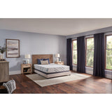 Sealy Lane Foam Mattress