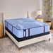 Sonterra Spring Mattress - Furniture World