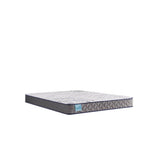 Sealy Nori Foam Mattress