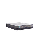 Sealy Nori Foam Mattress