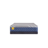 Sealy Bridgerton Hybrid Mattress