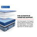 Sonterra Spring Mattress - Furniture World