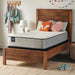Summer Elm Innerspring Mattress - Furniture World
